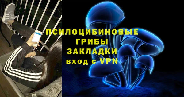 ПСИЛОЦИБИНОВЫЕ ГРИБЫ Абинск
