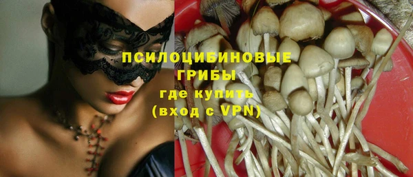 ПСИЛОЦИБИНОВЫЕ ГРИБЫ Абинск