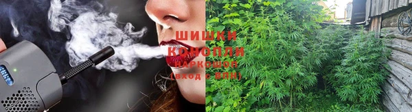 ПСИЛОЦИБИНОВЫЕ ГРИБЫ Абинск