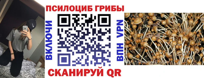 хочу наркоту  Струнино  Галлюциногенные грибы MAGIC MUSHROOMS 